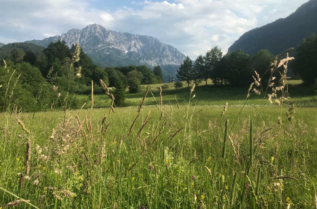 Sommer